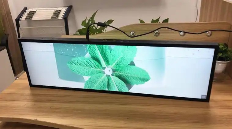 Choosing Shelf Stretched Displays: LCD vs. LED — A Detailed Comparison of Image Quality, Brightness, Price, and Lifespan - Figure 2