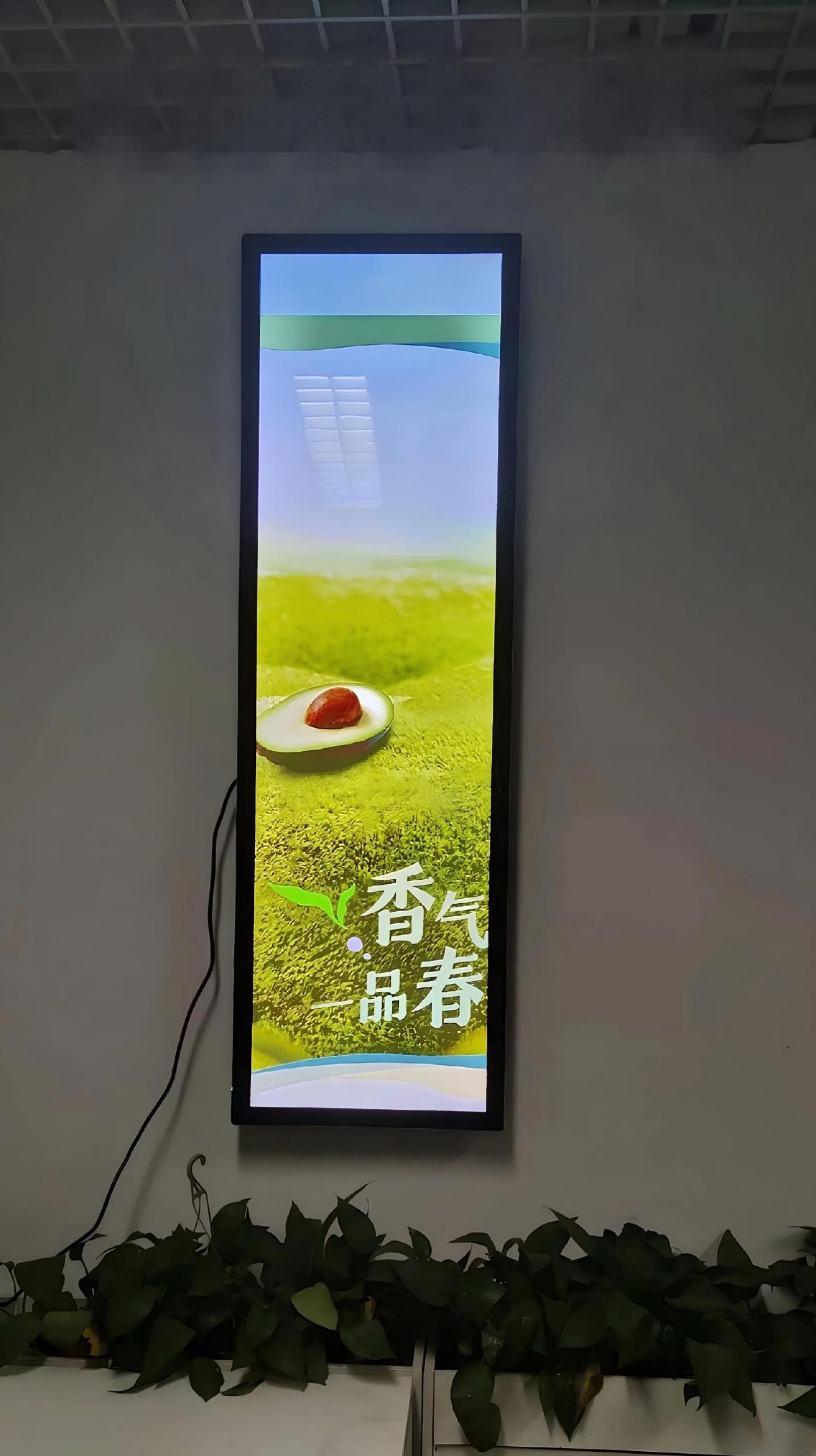Enhancing Passenger Viewing Comfort with On-Board Vehicle Stretched Bar Displays - Figure 2